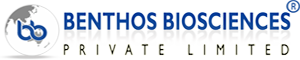 logo2 (1)